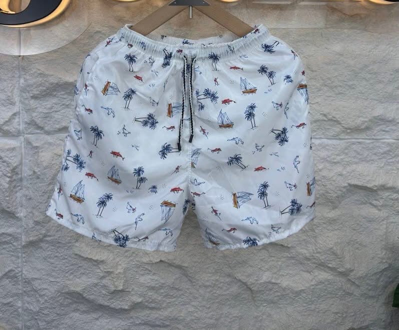 Beach Shorts (Karoo)